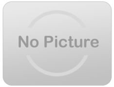 Carnival and Inflatable Games Carnival and Inflatable Games